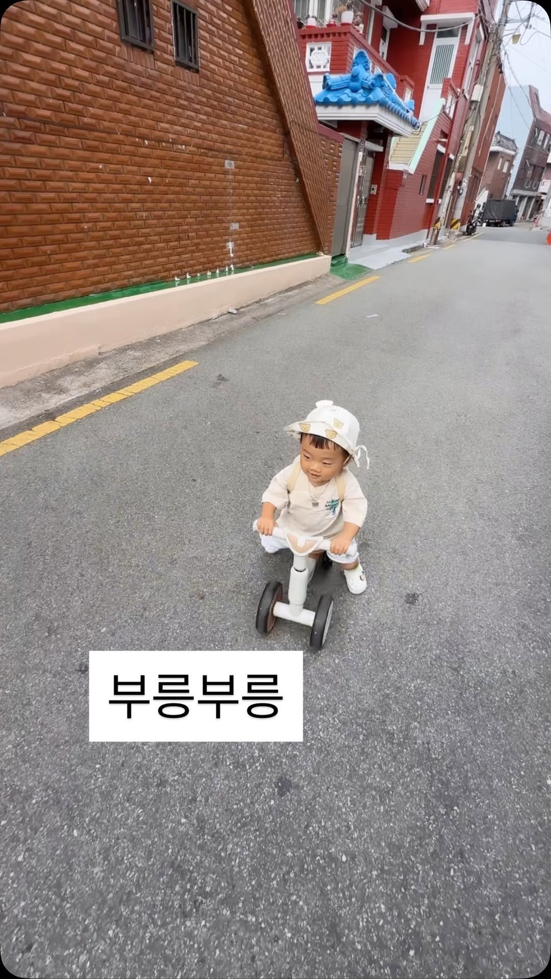 strong._.toppang 게시물 이미지: 강토빵픽 양말 어때요..?