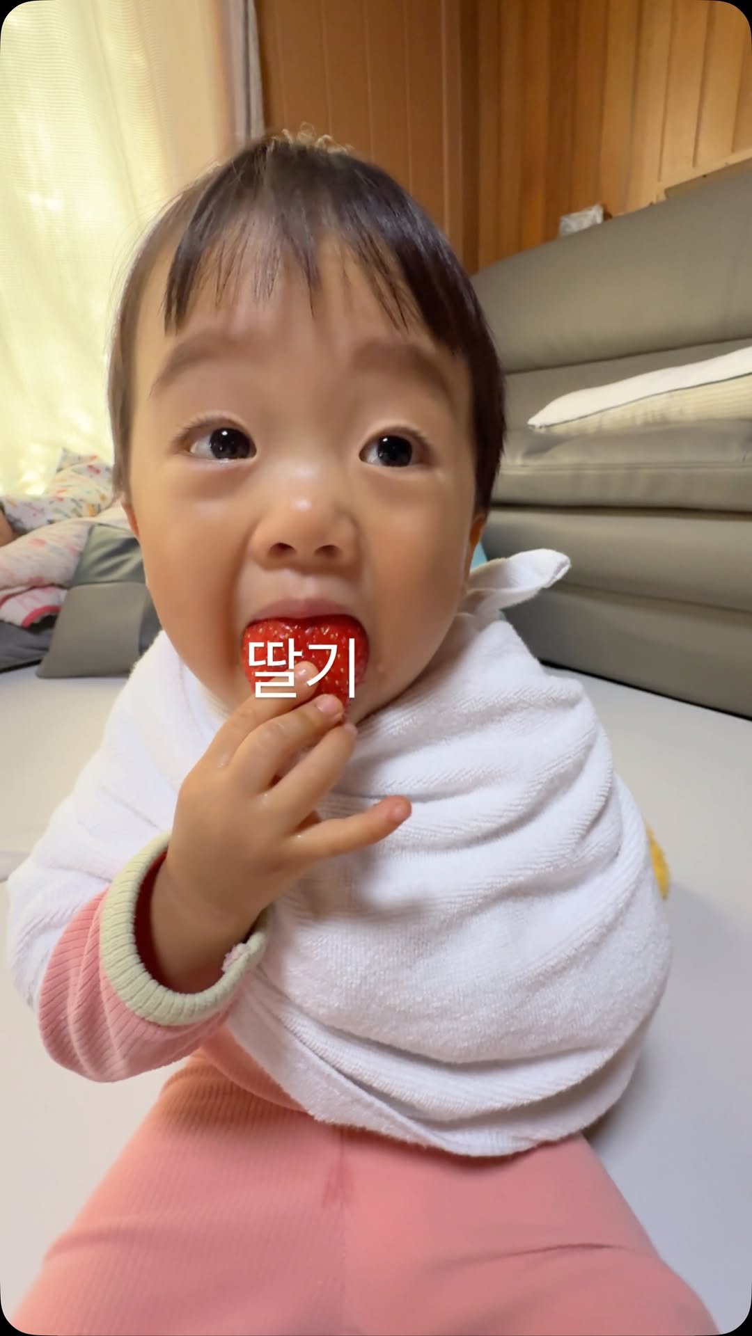 strong._.toppang 게시물 이미지: 지 얼굴만한 딸기를 ㅋㅋㅋㅋ 메리클스마스입니다 이모 삼촌 누나 형아들🎄🎄