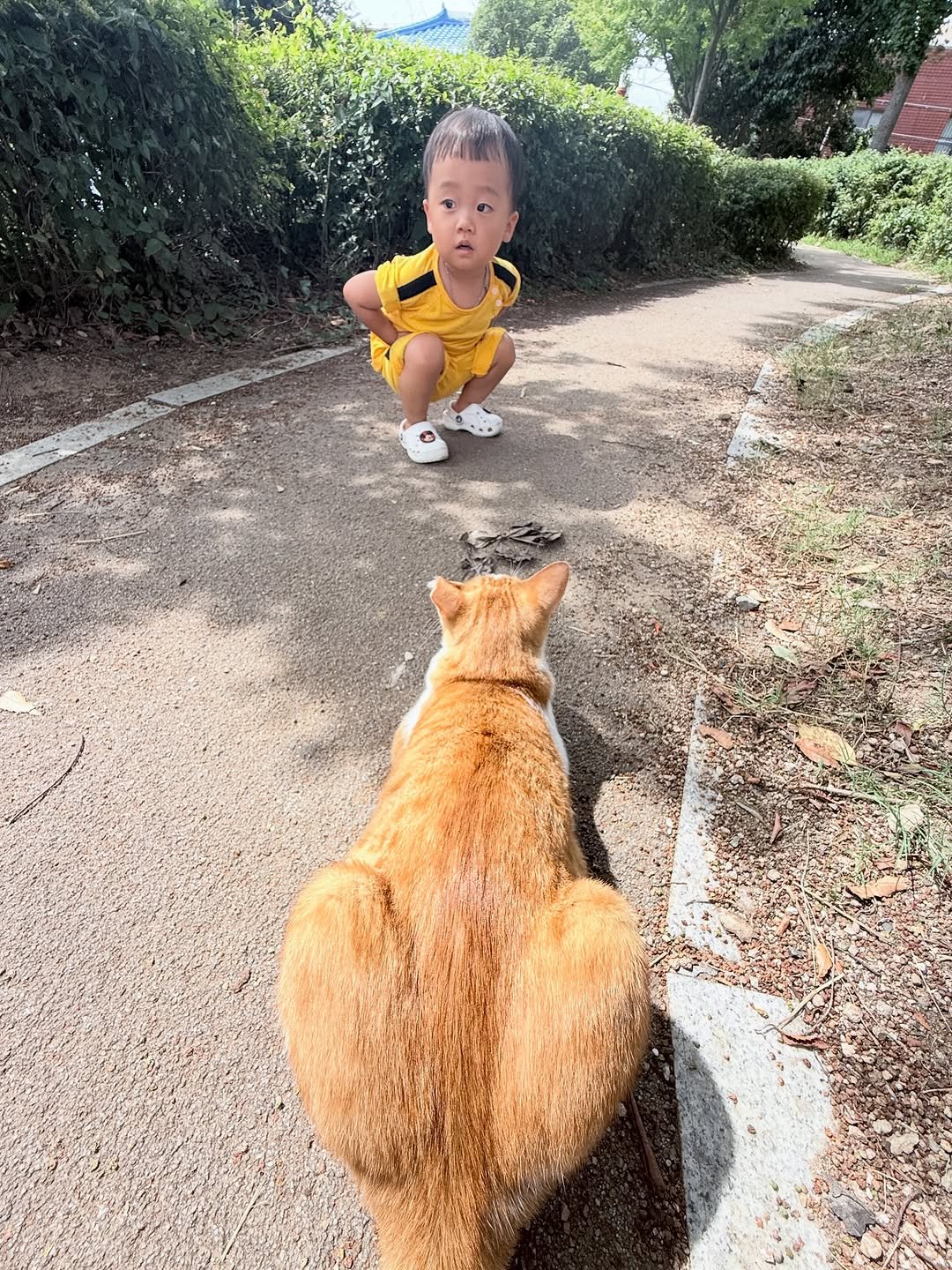 Photo by 양지영 (토빵이네🐰) on September 24, 2025. May be an image of 1 person, wallaby, kangaroo, Abyssinian cat, kitten and text.
