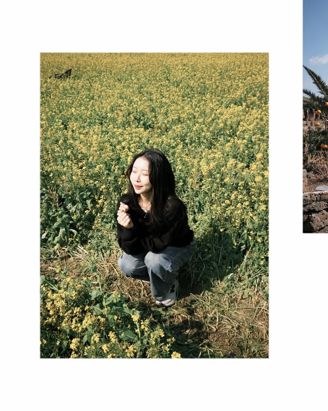 Photo by 스트롱지은 on February 15, 2026. May be an image of flower and text.