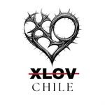xlov_chile 프로필 사진