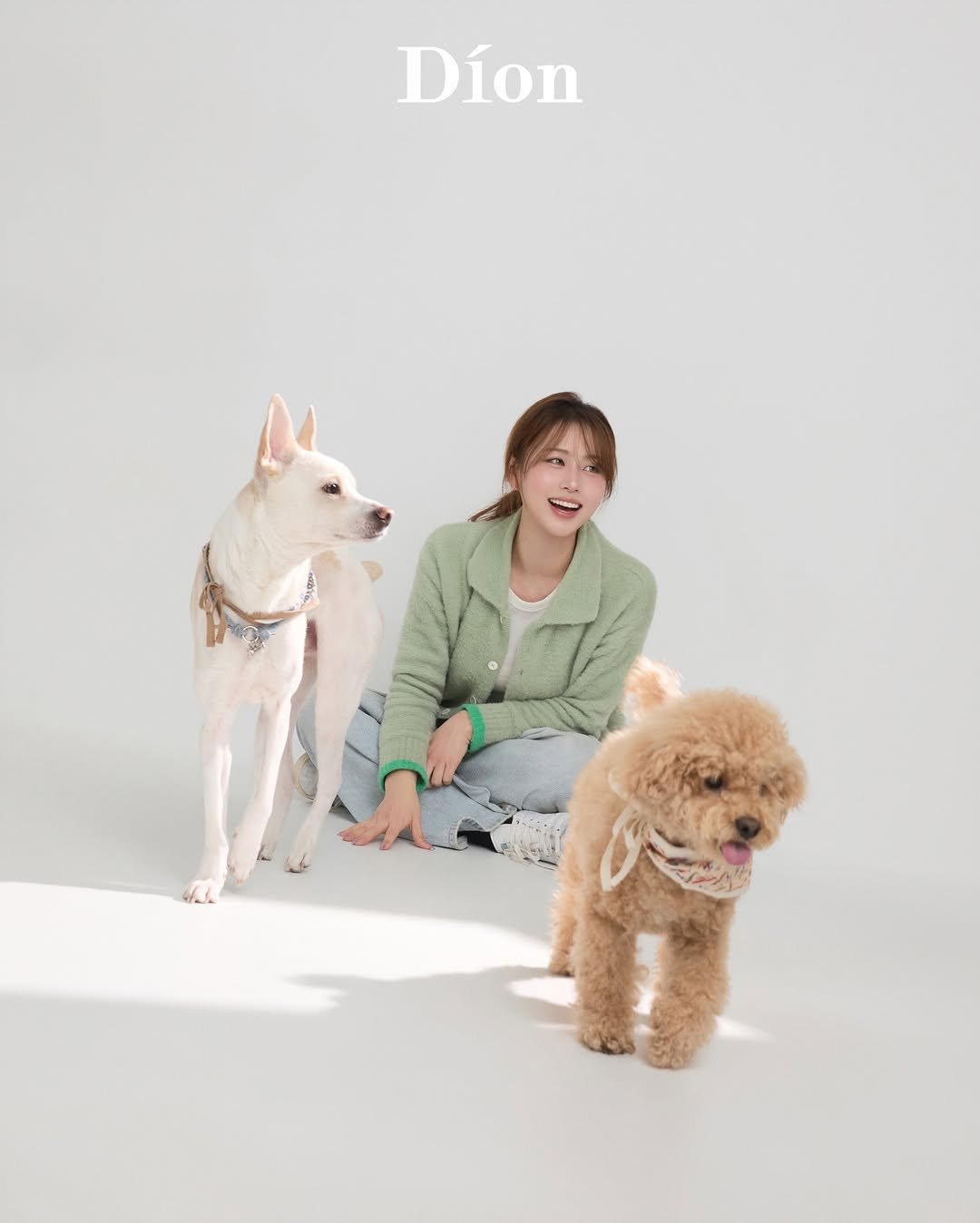 studio_dion__ 게시물 이미지: ”잊을 수 없는 귀한 기억“ 
소중한 #반려동물 과 함께한 #프로필 🐶🫧