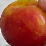 mosi_house 프로필 사진