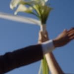 ourdancefilm 프로필 사진