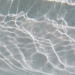 merlinew_ 프로필 사진