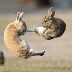 o.wa.yeol 프로필 사진