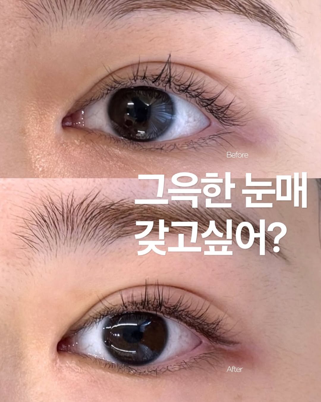studiosoop_seoul 게시물 이미지: 아이라인은 촌스럽다고, 파래진다고
누가 그래요? 🤷🏻‍♀️

숲의 그윽눈매...