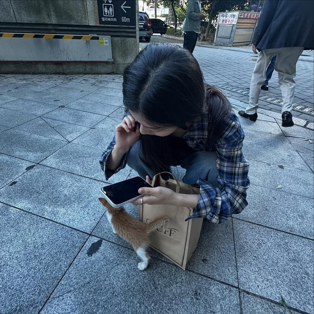 Photo by 신은수 on September 22, 2025. May be an image of slow loris, barn owl, duffle coat, street and text.
