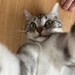 _ryeoun 프로필 사진