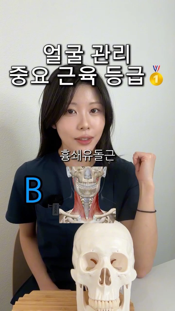 su_face.sua 게시물 이미지: A급 근육부터 먼저 관리해야 효과가 더 빠르게 나타나요

A (무조건 먼저)
측두근...