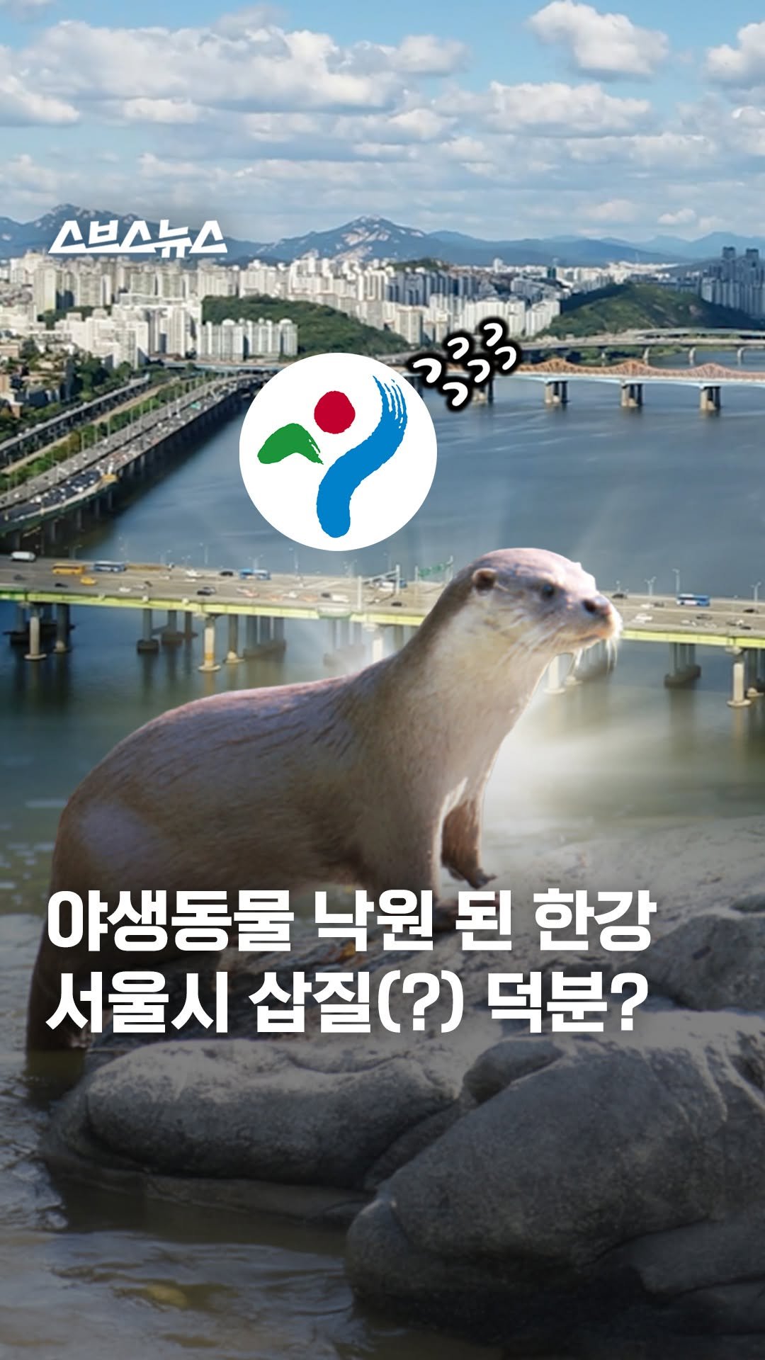 subusunews 게시물 이미지: 서울 도심 한복판에 맹수(?)들의 재등장이 이어지고 있습니다.

한반도 마지막 자생...
