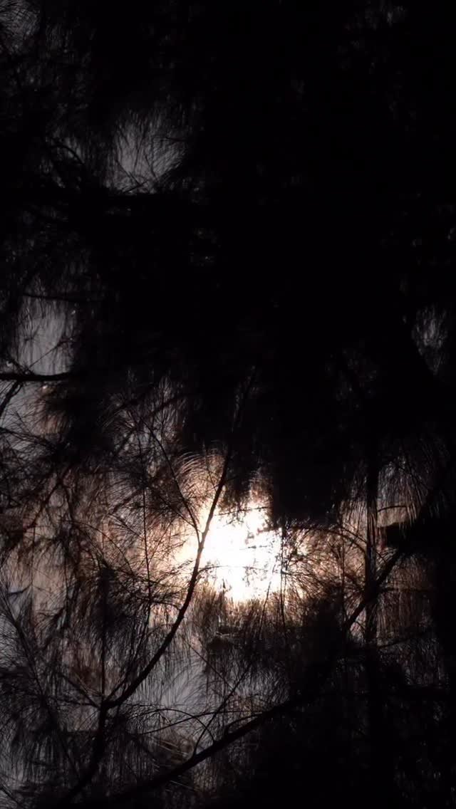 sudhanshutrivediofficial 게시물 이미지: गौ सेवा परमो धर्म:🙏

आस्था, संस्कृति और...