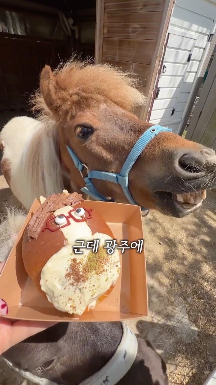 sugartokiee 게시물 이미지: 화덕 포카치아는 꼭 먹어 ..❗️ 브런치 다이닝 시작한 #헤이블루 🐎☁️

🚩...