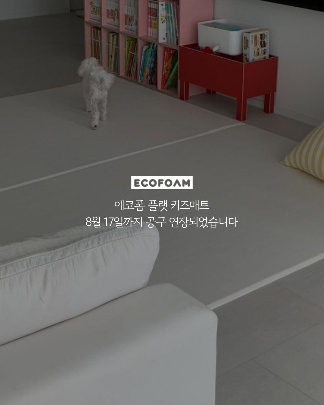 Photo by 유노맘 | 이수현 on August 11, 2025. May be an image of carpet, indoors and text that says 'ECOFOAM 에코폼 플랫 키즈매트 8월 17일까지 공구 연장되었습니다'.