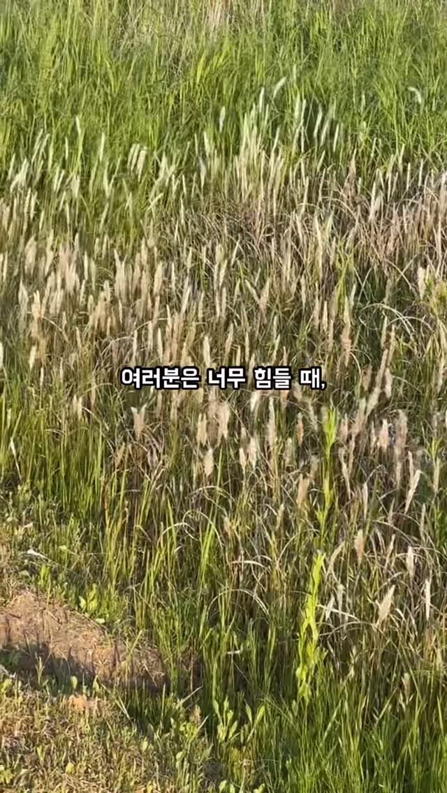 sujinnam2018 게시물 이미지: (2026.5.29.금) 여러분은 너무 힘들때, 너무 슬플 때 어떻게 하세요?...