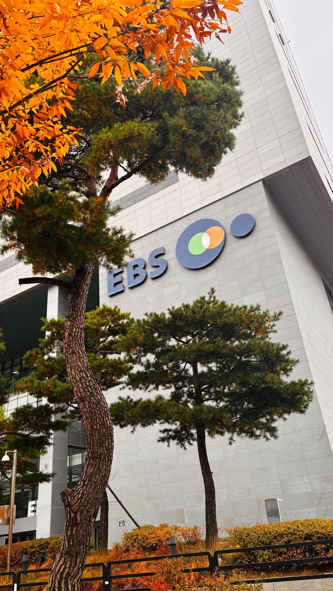 sujinnam2018 게시물 이미지: (2025/11/8/일) 지난 토요일, EBS에서 특별한 공개방송이 있었어요....