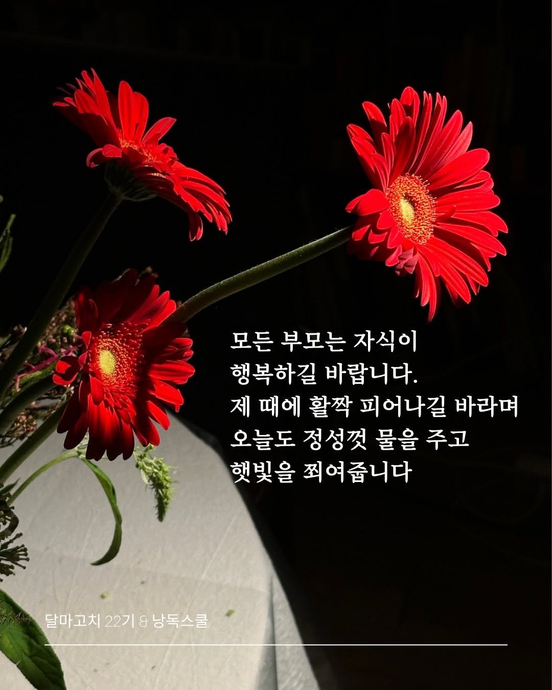 sujinnam2018 게시물 이미지: (2026.7.14.화) “아니 어느 부모가 아무 생각없이 매달 200만원 3년...