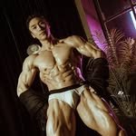 the_glutton_tiger 프로필 사진