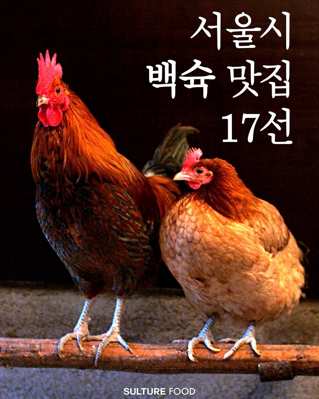 Photo shared by <SULTURE> 슐튀르미디어 on July 21, 2025 tagging @mealture. May be an image of chicken and text that says '서울시 백숙맛집 백숙 맛집 17선 SULTURE SULTUREFOOD FOOD রই'.