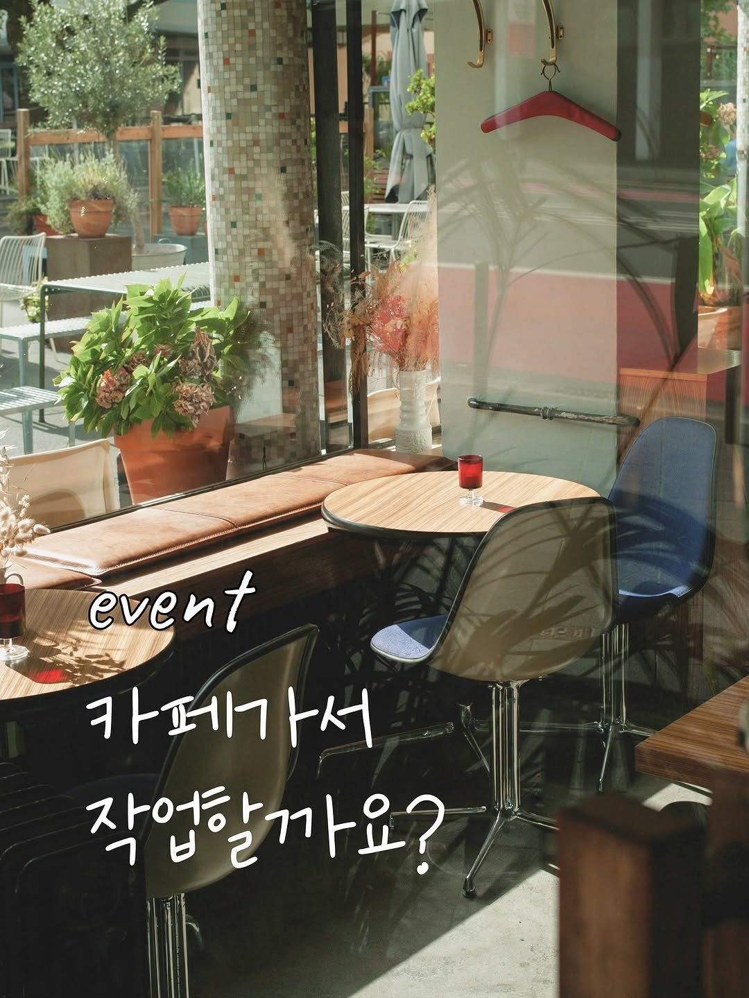 Photo by 숨디 ✨ on July 31, 2025. May be an image of plant, outdoors and text that says 'event 카페가서 ㅏ서 작업할까요?'.