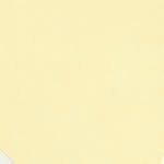 lucksunnyc 프로필 사진