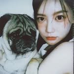 lxoxoee 프로필 사진