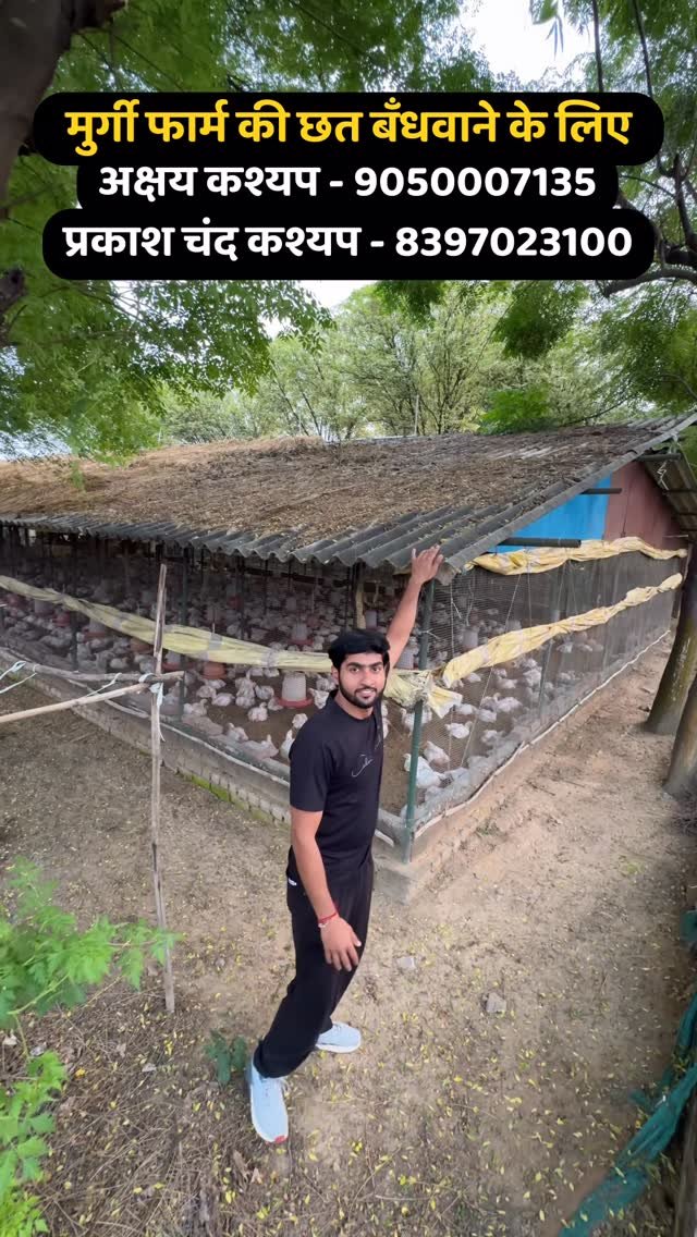 sumitindianfarmer 게시물 이미지: Poultry Farm Roof Management for...