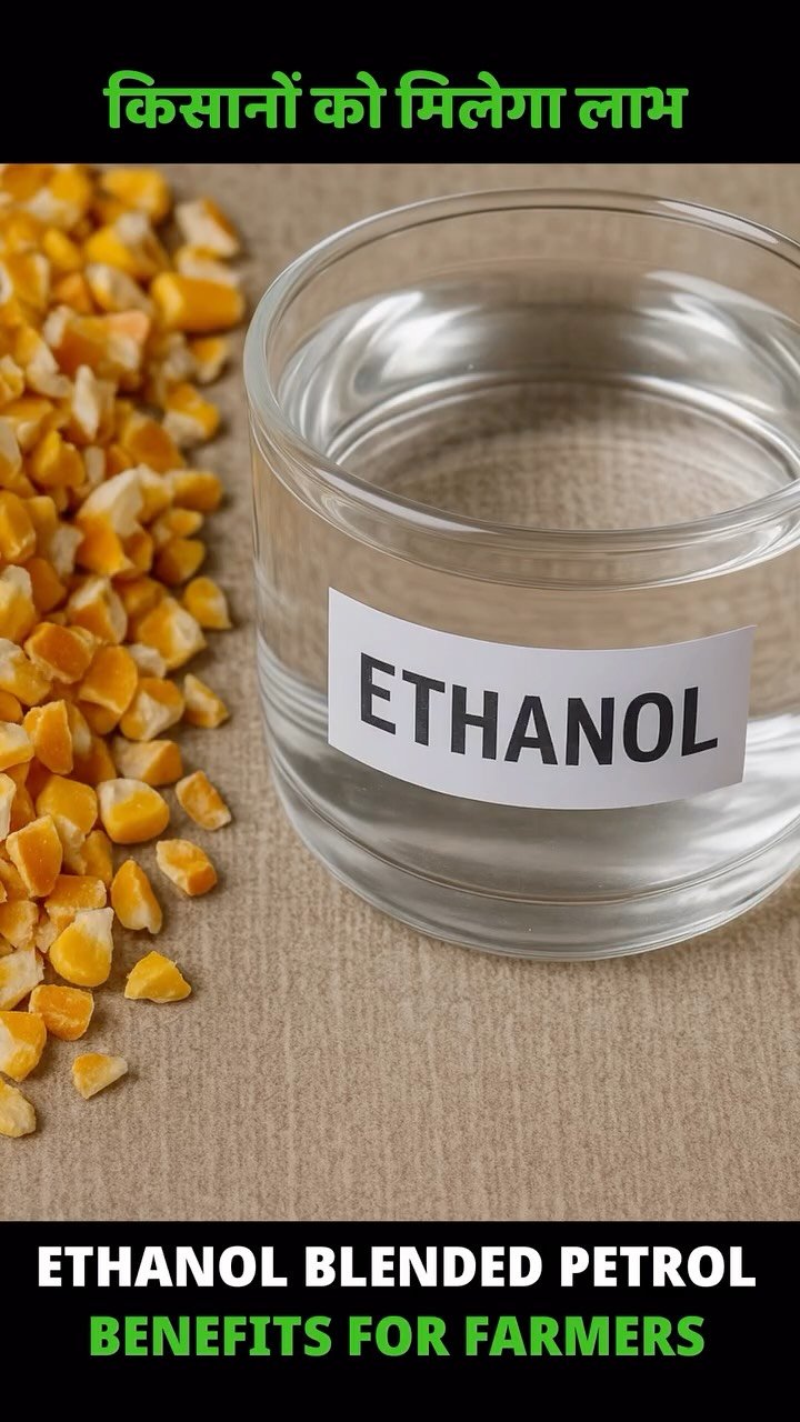sumitindianfarmer 게시물 이미지: Ethanol Blended Petrol - Many Benefits for...