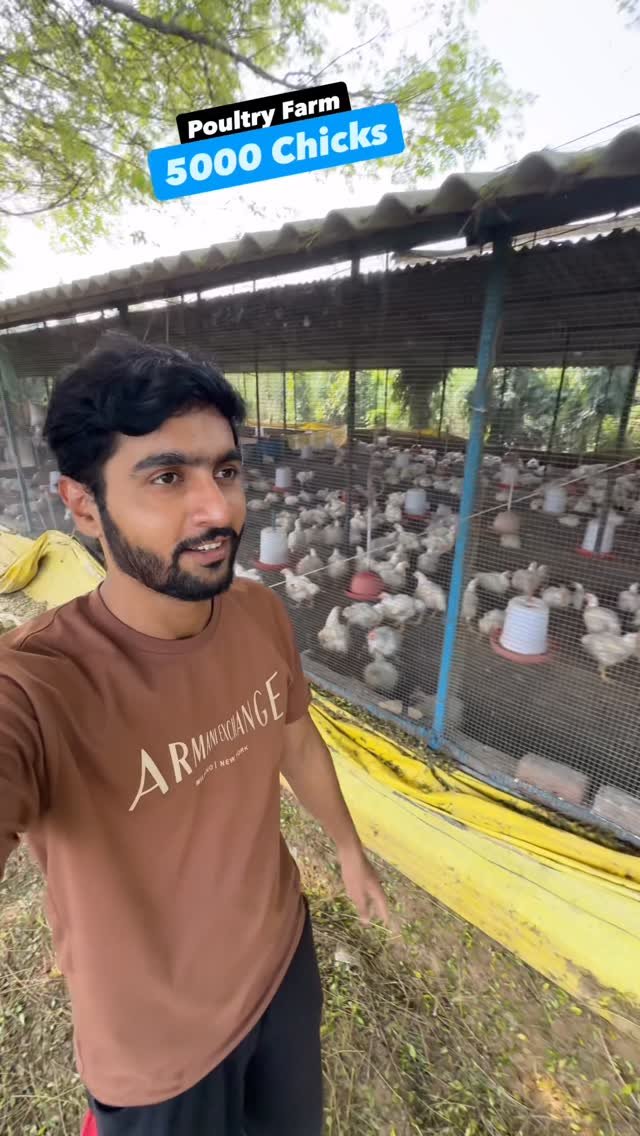 sumitindianfarmer 게시물 이미지: Chicken Selling Process at Poultry...