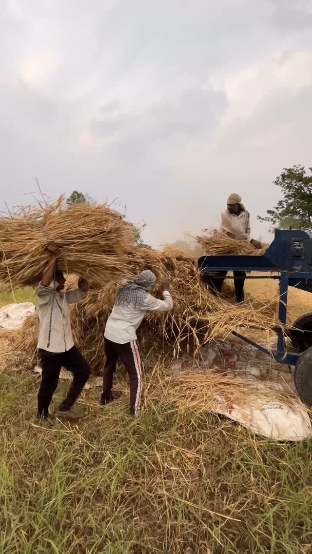 sumitindianfarmer 게시물 이미지: Wheat Thresher Machine for indian...