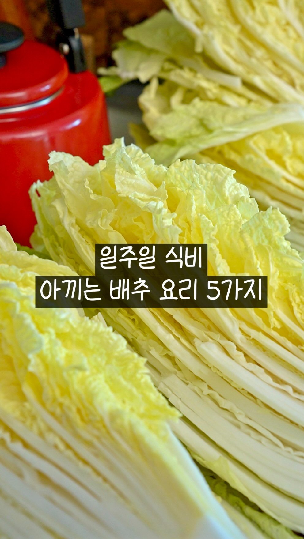 summer_jamong 게시물 이미지: 배추 한 통, 생각보다 금방 먹을 수 있어요.

다음에 배추 살 때 꺼내보기...