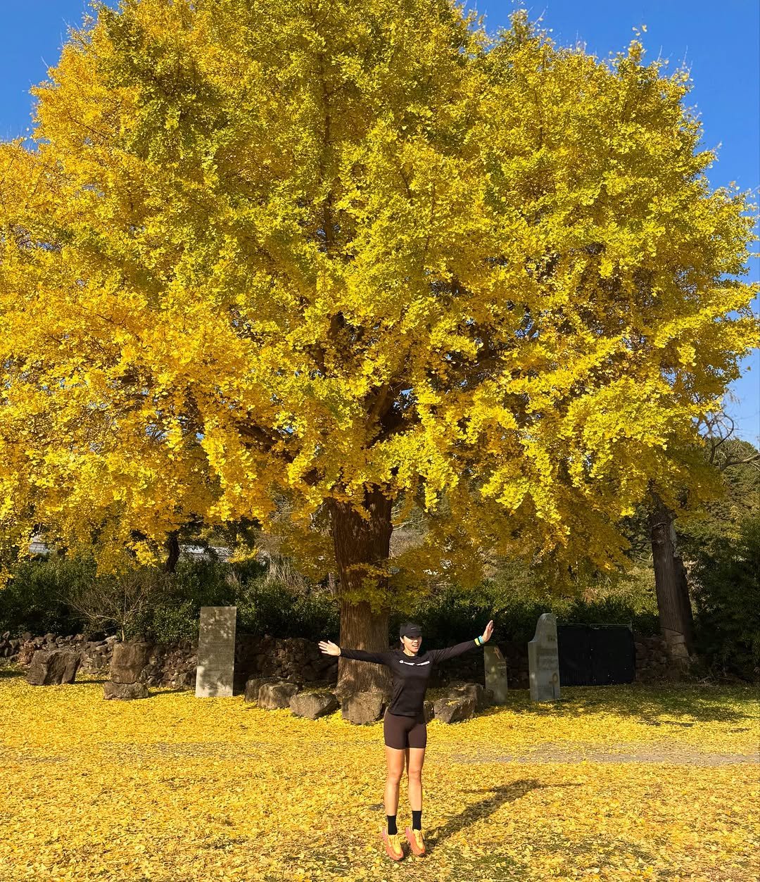 sun.nulife 게시물 이미지: 제주도는 아직 가을 🍂
낮엔 17도라 뛰면 덥고 가만히 있으면 또 추운...