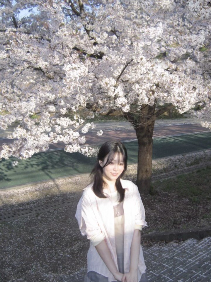 sun_rise_0802 게시물 이미지: 여기 벚꽃 미친 듯..🌸🌸😳
24년 인생 최고로 예뻤다..