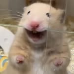 sunbin_eyesmag 인스타그램 프로필 사진