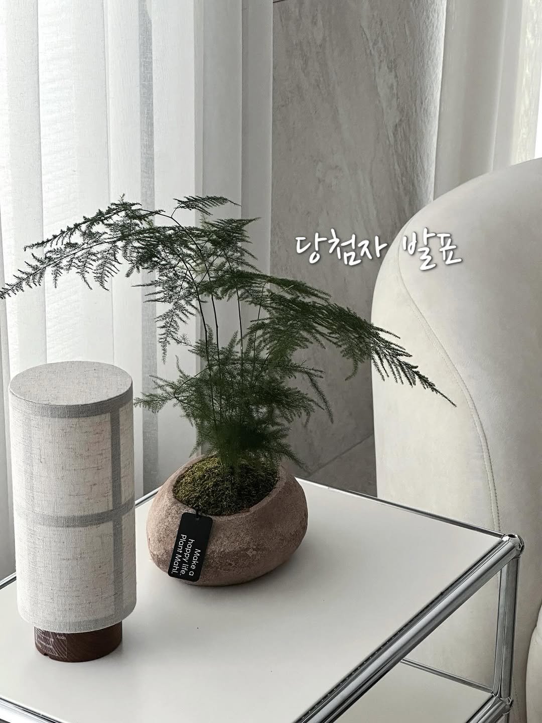 Photo by 썬데이랑 최은주 on February 15, 2026. May be an image of house plant, mistletoe cactus, ivy and text.