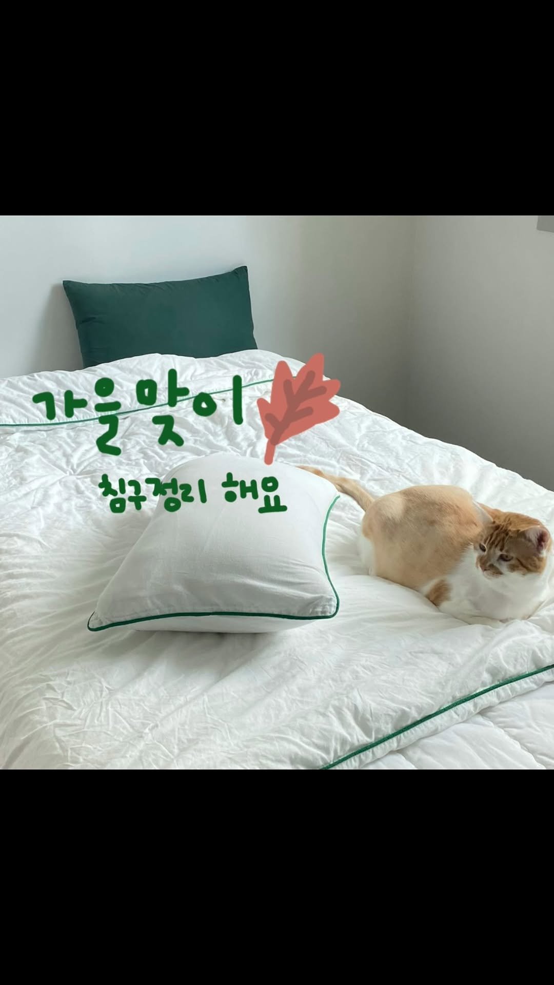 sundaymood_f 게시물 이미지: 🍁가을 맞이🍁침구정리루틴🙂
.
성큼 가을이 다가왔어요!
이제 밤에는 제법 가을날씨를...