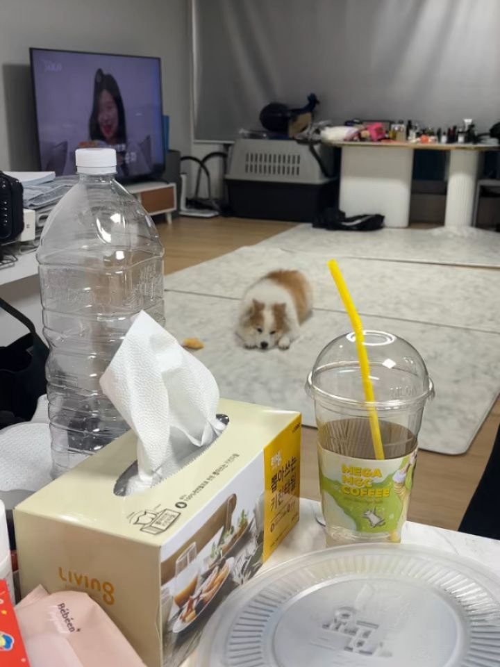 sunghoon1983 게시물 이미지: 졸리면 자..