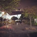 sunghoon1983 인스타그램 프로필 사진