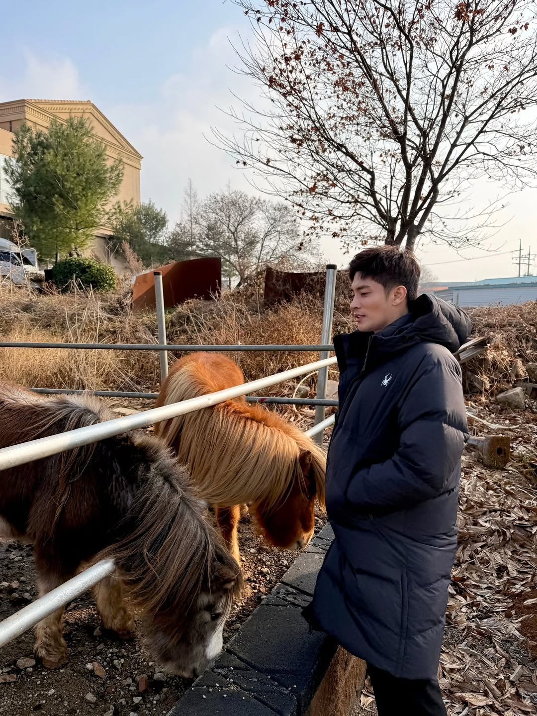 Photo by SungHoon & again Roiii on December 23, 2025. May be an image of sheep, lamb and text.