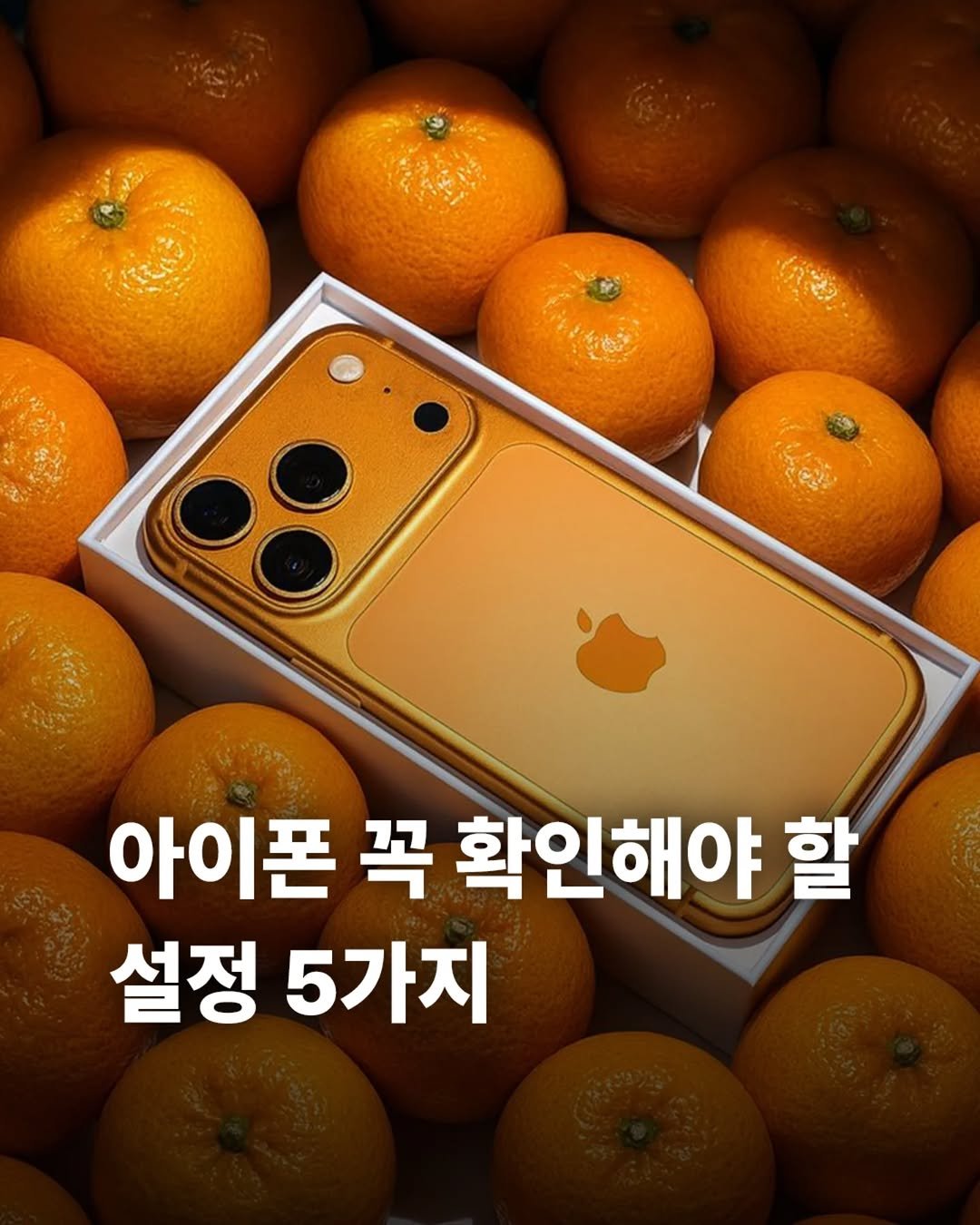 Photo by 국내 1위 휴대폰성지 | 달인폰센터 고양점 on February 06, 2026. May be an image of phone and text that says 'ነስድ 아이폰 꼭 확인해야 곡확인해야할 할 설정 5가지'.