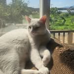 tabio_corp 프로필 사진