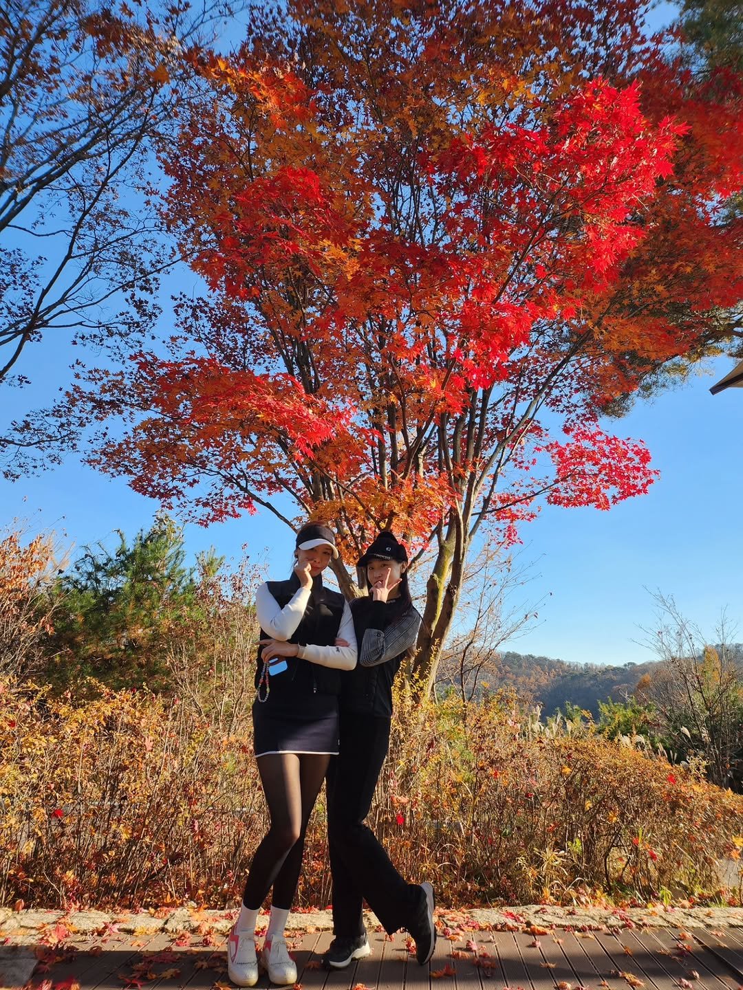 Photo by Sunny🌞 on November 27, 2025.