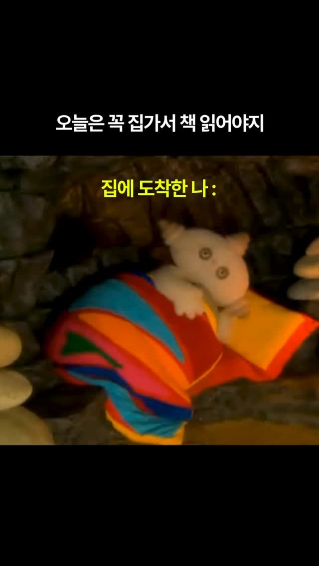 sunnysidebook 게시물 이미지: 일단 오늘만 눕고😇