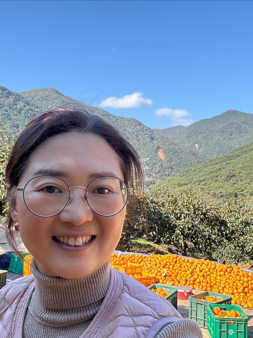 Photo by 햇터농장 • 사과 • 곶감 • 농장일상 on November 05, 2025. May be an image of flower, Victoria Peak and text.