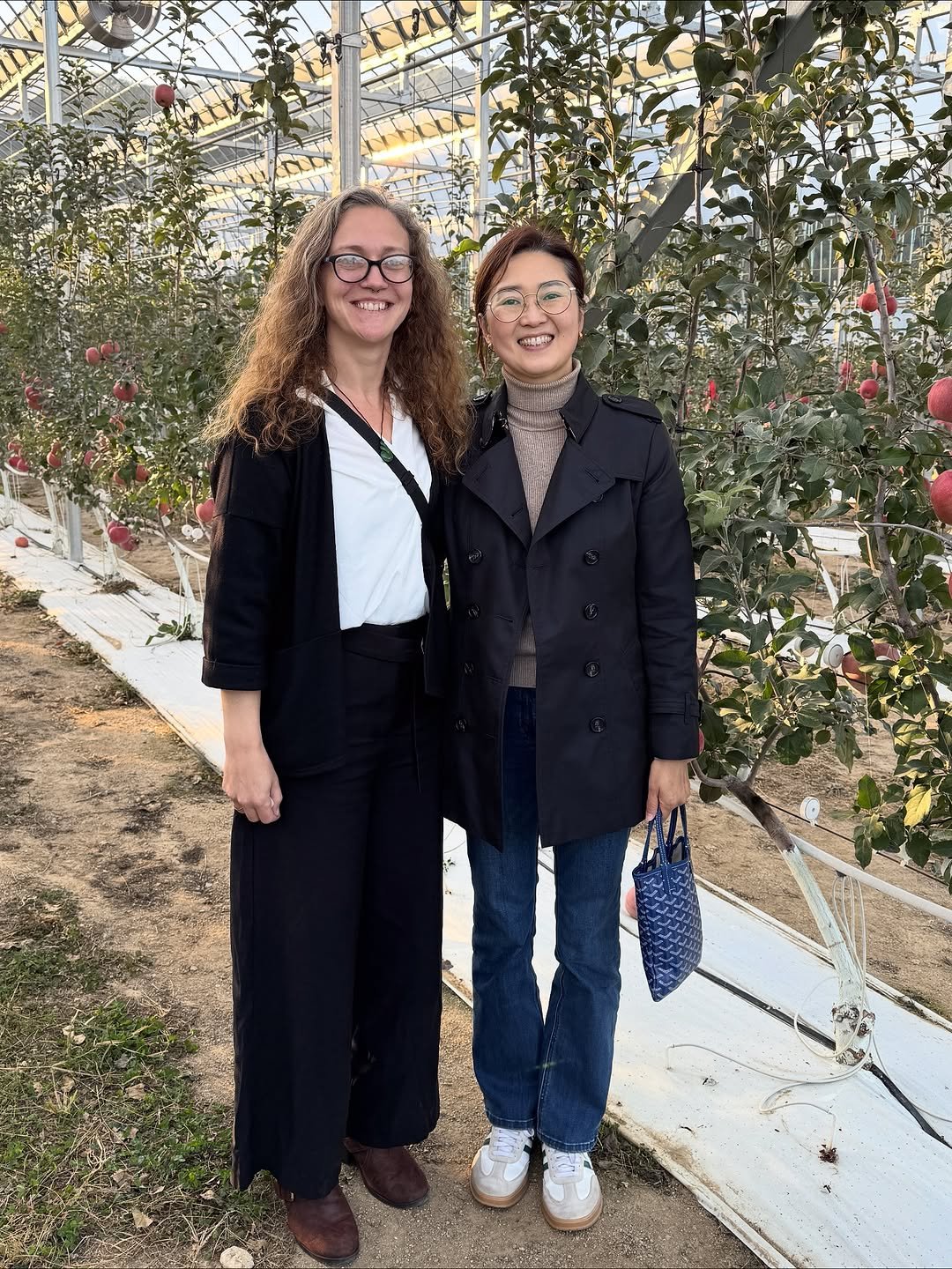 Photo by 햇터농장 • 사과 • 곶감 • 농장일상 on November 03, 2025. May be an image of text.