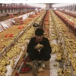 farm__page 프로필 사진
