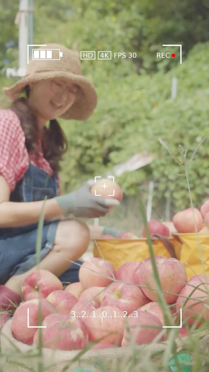 sunplacefarm 게시물 이미지: 햇터농장은 
자연과 함께 숨 쉬는 농장을 꿈꾸며
자연과 사람에게 모두 이로운 농사를...