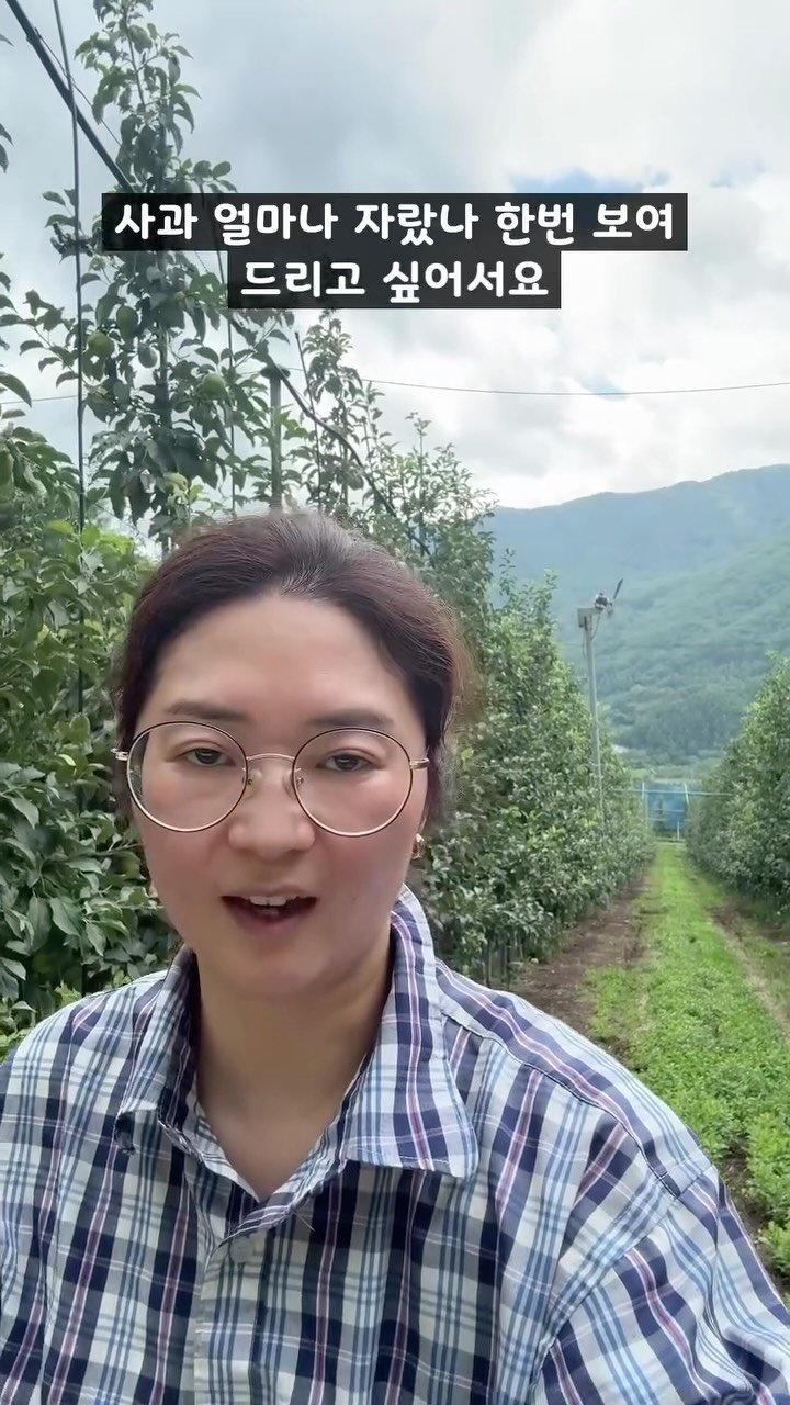 sunplacefarm 게시물 이미지: 비가 온 후 강렬한 햇볕에
나무들이 광합성을 엄청 열심히 했나봐요.

하루가 다르게...