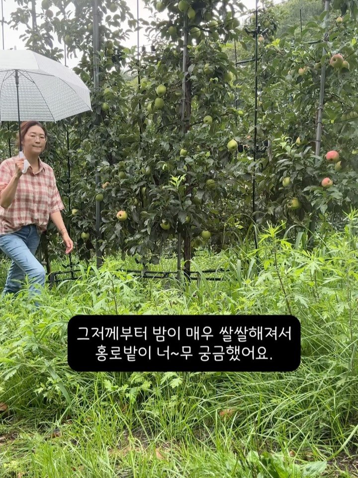 sunplacefarm 게시물 이미지: 며칠 계속되는 비에 
몸도 찌뿌둥하고..

역시 농부는 일을 해야 덜...