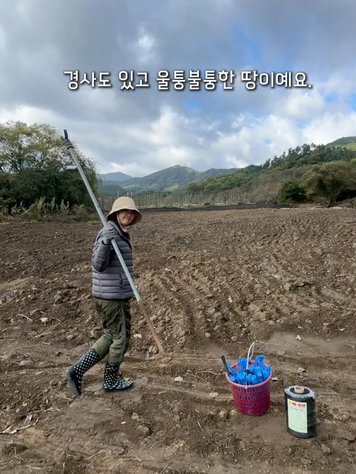 sunplacefarm 게시물 이미지: 아무것도 없는 땅에 나무를 심을 자리를 정하는 건 
생각보다 어렵습니다.
 넓으니...